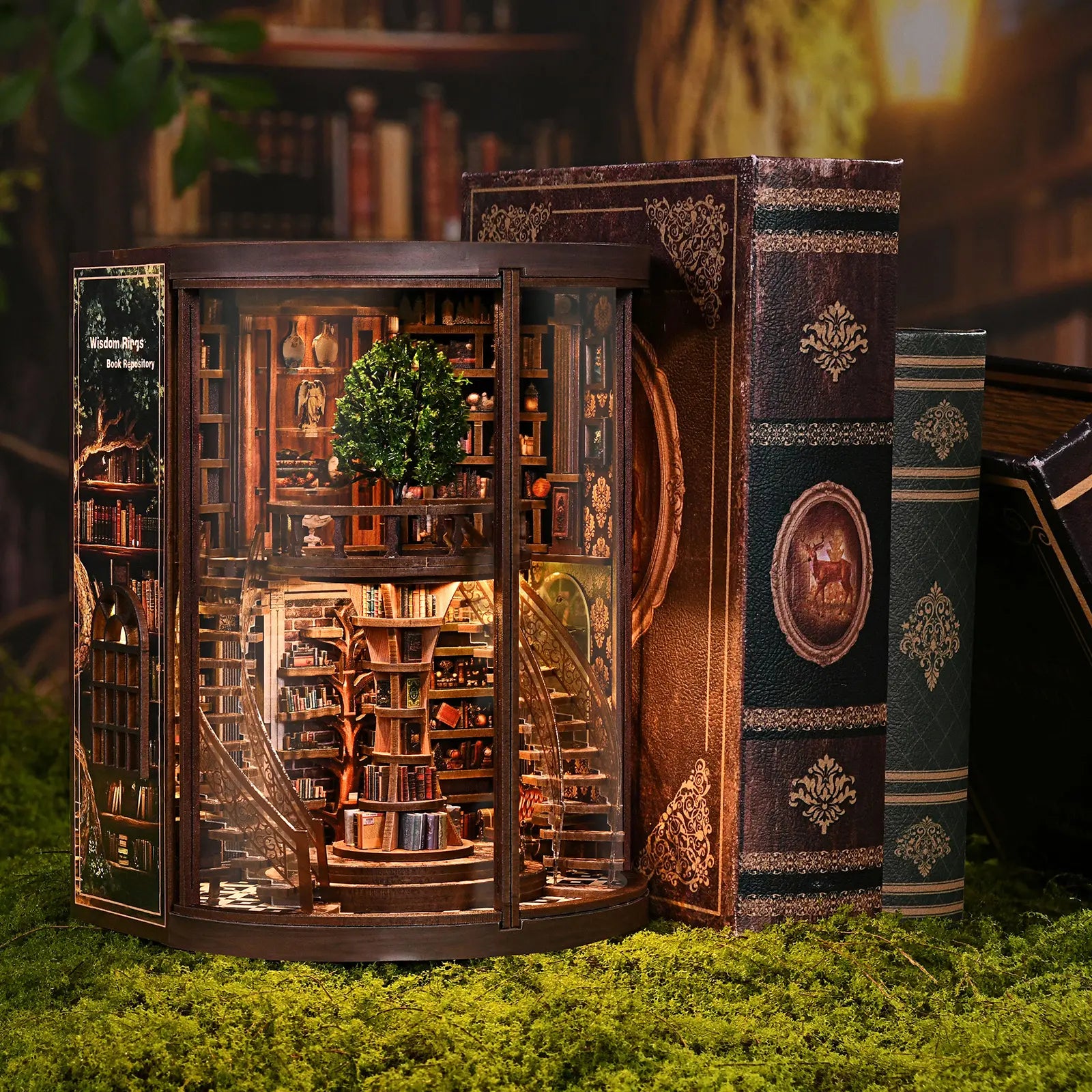 Dolphinisle Book Nook Kit for Adults Booknook DIY Miniature Library Decor Fantasy 3D Puzzle (Wisdom Rings Book Repository)